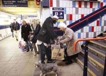 معمر افراد اور اسلام کی روشن تعلیمات