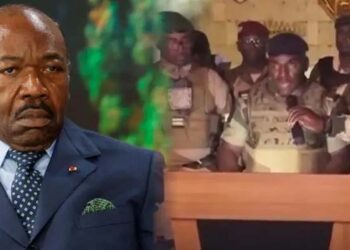 گیبون کی بغاوت :کان کھڑے کرنے والی ہے