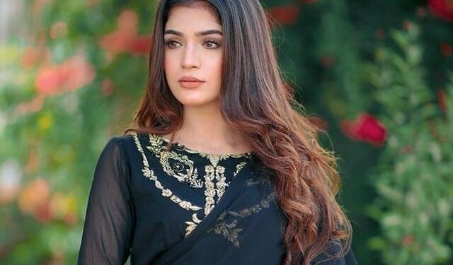 شادی کرنا اور شوبز چھوڑنا چاہتی ہوں، لائبہ خان