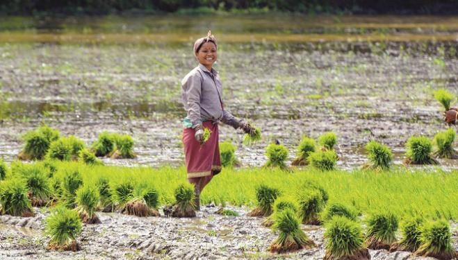 زیادہ بوائی سے مہنگائی میں کمی کی اُمید